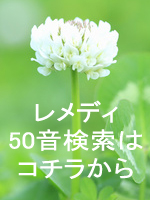 50�������ϥ����餫��